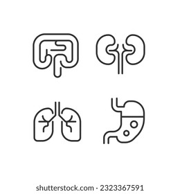 Human organs pixel perfect linear icons set. Gastrointestinal system. Anatomy. Organs transplantation. Customizable thin line symbols. Isolated vector outline illustrations. Editable stroke