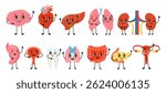 Human Organs with positive emotions set. Cartoon healthy body parts lung, brain, heart reproductive system female male, tooth, body childish collection. Vector flat illustration happy comic design