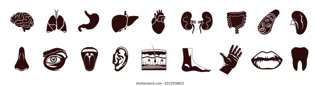 Organset des Menschen. Symbole menschlicher Körperanatomie Silhouettensymbole.
