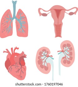 Die menschlichen Organe, die mit der Hirnherz-Lunge Bauchwelen Nieren Zunge Nase Ohr-Augenrücken-Elemente Sammlung, flache Symbole Set, Vektorgrafik. 