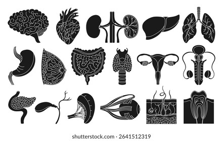 Human organs set. Cartoon silhouette lung, brain, heart, liver stomach, chest intestines, reproductive system female male, skin hair tooth eye, body elements collection. Vector illustration icon set