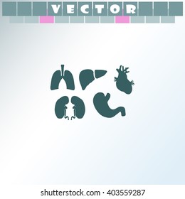 Human organs set icon.