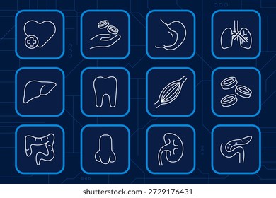 Los órganos humanos establecen el icono. Corazón, pulmones, estómago, hígado, riñón, intestinos, diente, células sanguíneas, músculo, páncreas, anatomía corporal, biología médica