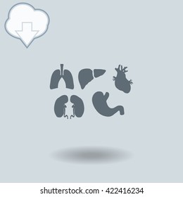 Human organs set icon with shadow. Cloud of download with arrow.