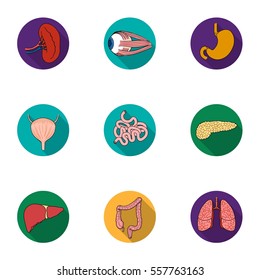 Human organs set icons in flat style. Big collection of human organs vector symbol stock illustration