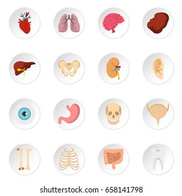 Human organs set icons in flat style isolated on white background