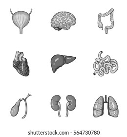 Human organs set icons in monochrome style. Big collection of human organs vector symbol stock illustration