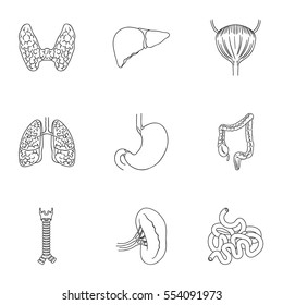 Human organs set icons in outline style. Big collection of human organs vector symbol stock illustration