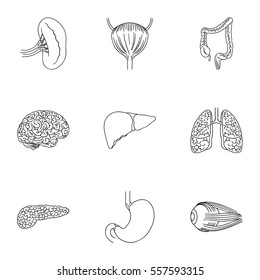 Human organs set icons in outline style. Big collection of human organs vector symbol stock illustration