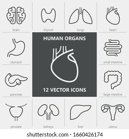 Human organs. Set of quality vector icons with editable line thickness