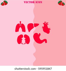 Human organs set vector  icon. Strawberry Background.