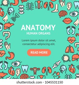 Human Organs Signs Round Design Template Line Icon Frame or Border Concept. Vector illustration of Service Ad Surgery