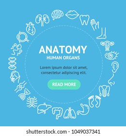 Human Organs Signs Round Design Template White Thin Line Icon Graphic Concept Include of Part Body. Vector illustration