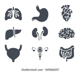 human organs silhouette icon