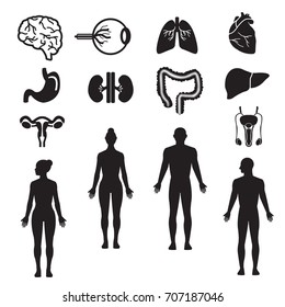 Human organs and silhouette vector icon set: brain, eye, heart, lungs, liver, stomach, kidney, intestine, reproductive system