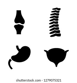 Human Organs. Simple Related Vector Icons Set for Video, Mobile Apps, Web Sites, Print Projects and Your Design. Human Organs icon Black Flat Illustration on White Background.