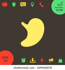 Human organs. Stomach icon