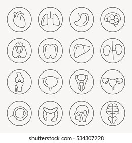 Human organs thin line icon set