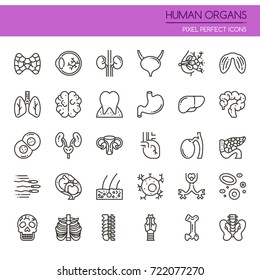 Human Organs , Thin Line and Pixel Perfect Icons