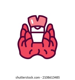 Human organs thyroid gland color line icon. Isolated vector element. Outline pictogram for web page, mobile app, promo