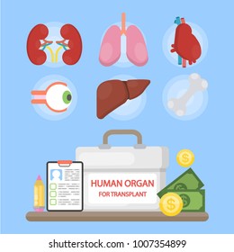 Human Organs For Transplant. Cooler Box, Contract And Money.