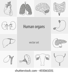 Human organs, vector anatomy set