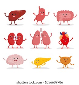 Human organs vector cartoon characters illustration in flat design. Cute smiling healthy organs icon set isolated on white. Heart, liver, brain, stomach, lungs, kidneys, intestine, pancreas, bladder.