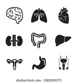 Human organs vector icon set: brain, heart, lungs, liver, stomach, kidney, intestine, reproductive system
