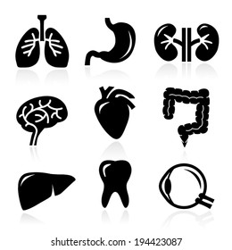 Human organs - vector icons collection