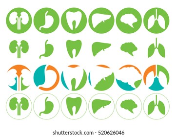 Human organs - vector icons collection