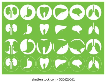 Human organs - vector icons collection