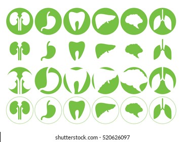 Human organs - vector icons collection