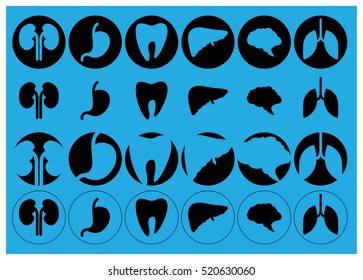 Human organs - vector icons collection