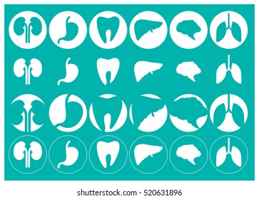 Human organs - vector icons collection