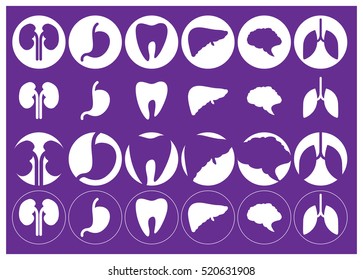 Human organs - vector icons collection