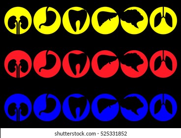 Human organs - vector icons collection set