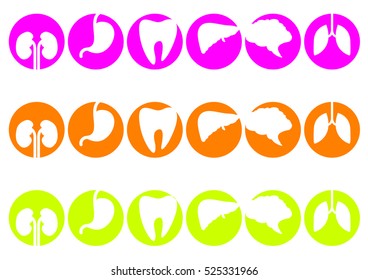 Human organs - vector icons collection set