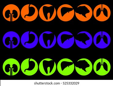 Human organs - vector icons collection set