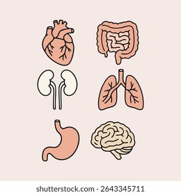 Ícones de vetor de órgãos humanos - Conjunto de ilustração de anatomia médica
