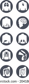 Human organs vector icons pack, anatomy svg icons  svg