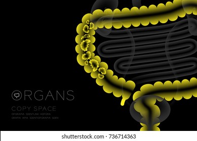 Human Organs X-ray set, Large Intestine infection concept idea green color illustration isolated glow in the dark background, with Organ text icon and copy space