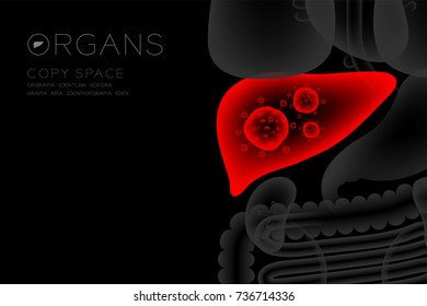 Human Organs X-ray set, Liver infection concept idea red color illustration isolated glow in the dark background, with Organ text icon and copy space