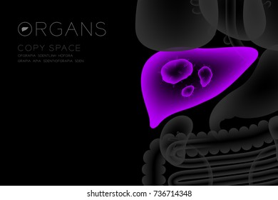 Human Organs X-ray set, Liver infection concept idea purple color illustration isolated glow in the dark background, with Organ text icon and copy space