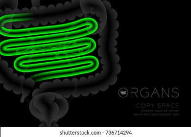 Human Organs X-ray set, Small Intestine infection concept idea green color illustration isolated glow in the dark background, with Organ text icon and copy space