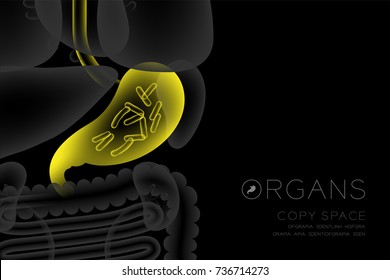 Human Organs X-ray set, Stomach infection concept idea yellow color illustration isolated glow in the dark background, with Organ text icon and copy space