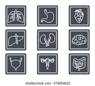 human organs x-ray silhouette icon