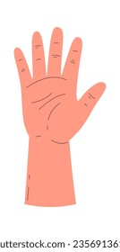 Human Palm Hand Vector Illustration