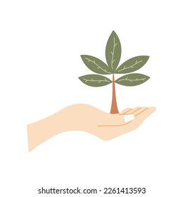 Human palm holds small tree. Caring for environment, preservation forest, theme of ecology. Colorful vector isolated illustration hand drawn. Tree planting, preserving nature