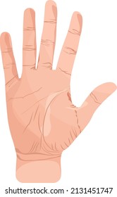Palma humana, ilustración, vector sobre fondo blanco.