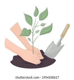 Human palms cover the ground with a young plant shoot. Concepts: concern for the environment, opposition to deforestation, planting plants.